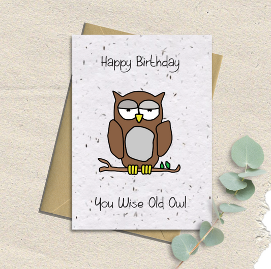 Happy Birthday You Wise Old Owl Seeded Card