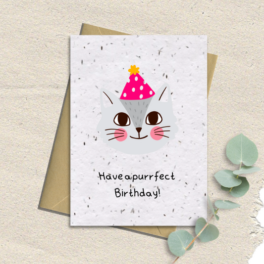 Have A Purrfect Birthday Seeded Card